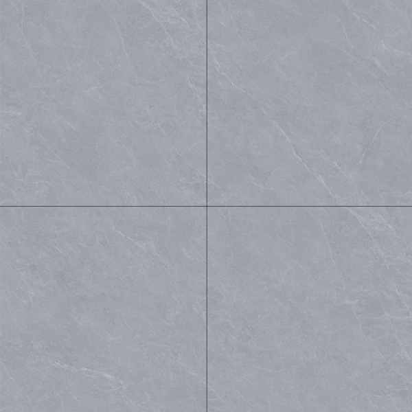 ST8809